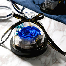 Load image into Gallery viewer, Glass Dome With Lights  Eternal Real Rose -  flower world